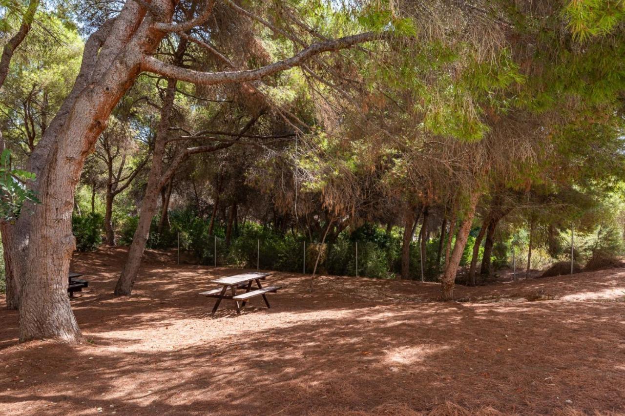 Apartament Summer Διαμέρισμα Campoamor Εξωτερικό φωτογραφία